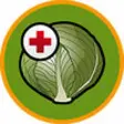Icon of program: Brassica diseases