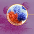 Icon of program: AZ Immune Related AE Mana…