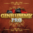 Icono de programa: Gin Rummy Pro for Windows…