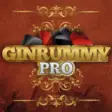 Icon of program: Gin Rummy Pro for Windows…