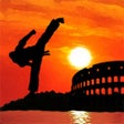 Icon of program: Taekwon Hero Battle Arena