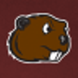 Minot State Red Alert icon