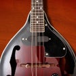 Icono del programa: Mandolin Companion