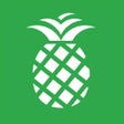 Icon of program: PineApp