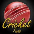 Icon of program: Cricket Facts of T20, Wor…