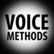 Icon of program: Voice Methods