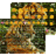 Icono de programa: Wild Tiger Emoji Keyboard