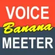 Icon of program: Voicemeeter Banana
