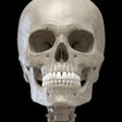 Icon of program: Skeleton - 3D Atlas of An…