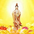 Icon of program: Buddhism and Mindfulness …