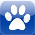 Icon of program: Cute Dogs