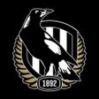 Icon of program: Collingwood Official App
