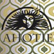 Icon of program: PARTURI-KAMPAAMO AHOTIE