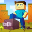 Icon of program: Plug for Minecraft PE