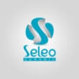 Seleo Ceramic icon