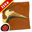 Icon of program: Fossil is an interactive …