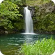 Icon of program: Real Waterfall Live Wallp…