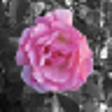 Icon of program: ImageElements BrightSpot