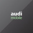Icon of program: Bank Audi