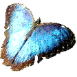 Icono de programa: PsyberScan