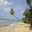Icon of program: Beaches of Barbados