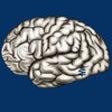 Icon of program: Cerebrum ID
