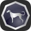 Icon of program: Sighthound Video