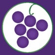 Icon of program: WTSO