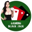 Icon of program: Gaming-BlackJack
