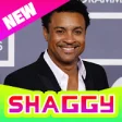 Icon of program: Shaggy All Songs Offline