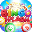 Icon of program: Bingo Splash: Instant Joy