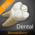 Icon of program: BoneBox - Dental Pro