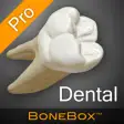 Icon of program: BoneBox - Dental Pro