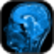 Icon of program: IQ Tester