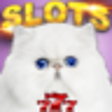 Icon of program: Casino Cash Cats Kitty Sl…