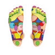 Icon of program: Foot Reflexology Chart