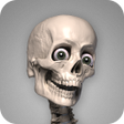 Icon of program: Skelly: Poseable Anatomy …
