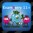 11+ Verbal Reasoning - Examberry icon