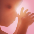 Icono de programa: Pregnancy