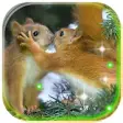 Icon of program: Squirrels Gallery live wa…