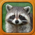 Icon of program: Kids learn about Animals …