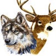 Icon of program: Oil Painting Wildlife: De…