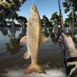 Icon of program: Fish Hunt 3D - free fishi…