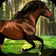 Icon of program: Horse Jumping 3D