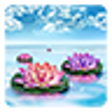 Lotus Live Wallpaper icon
