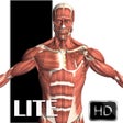Icon of program: Visual Anatomy Lite