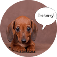 Icon of program: Bark Translator : Human T…