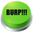 Icon of program: Burp Button