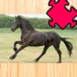 Icon of program: Activity Pony & Cute Anim…