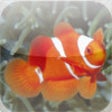 Icon of program: Fish Base